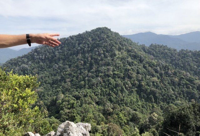 Wikiloc | Bukit Chenuang and Batu Kumbang (10 April 2021) Trail