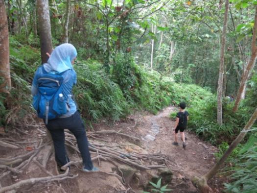 Bukit Melati hike | POKOK KELAPA