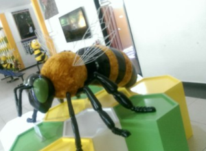 World’s Bees Museum